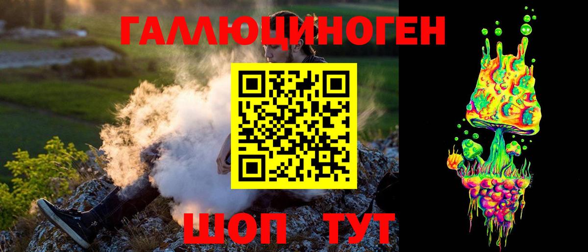 Псилоцибиновые грибы Psilocybe  Вход с VPN  наркота  Гатчина  Галлюциногенные грибы Psilocybe 